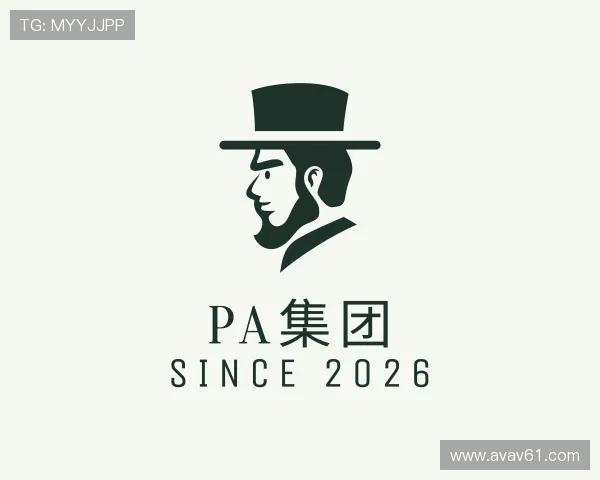 解读PA集团
